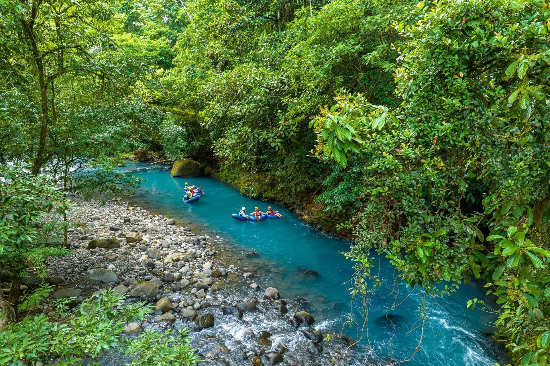 Sendero selvático que conduce al Río Celeste